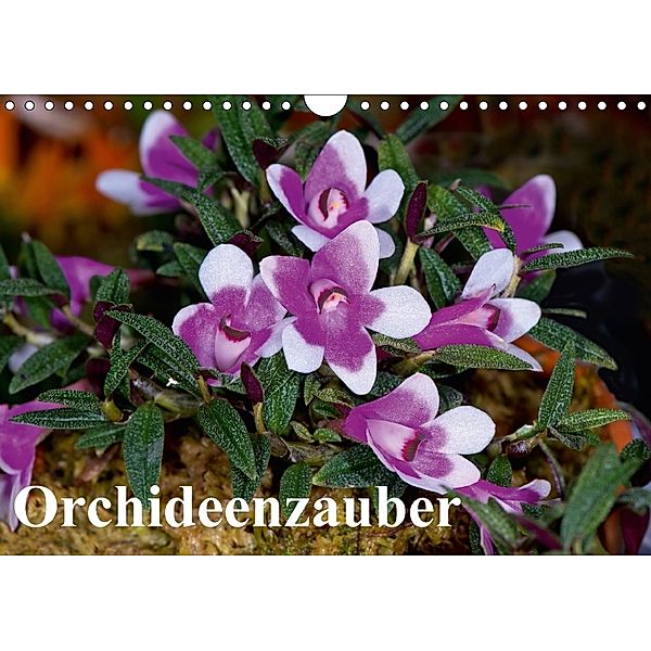 Orchideenzauber (Wandkalender 2018 DIN A4 quer) Dieser erfolgreiche Kalender wurde dieses Jahr mit gleichen Bildern und, Eerika Schulz