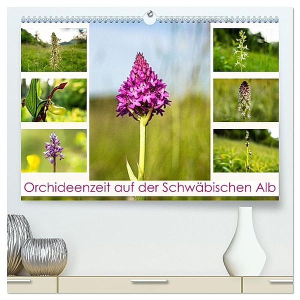 Orchideenzeit auf der Schwäbischen Alb (hochwertiger Premium Wandkalender 2024 DIN A2 quer), Kunstdruck in Hochglanz, Monika Scheurer