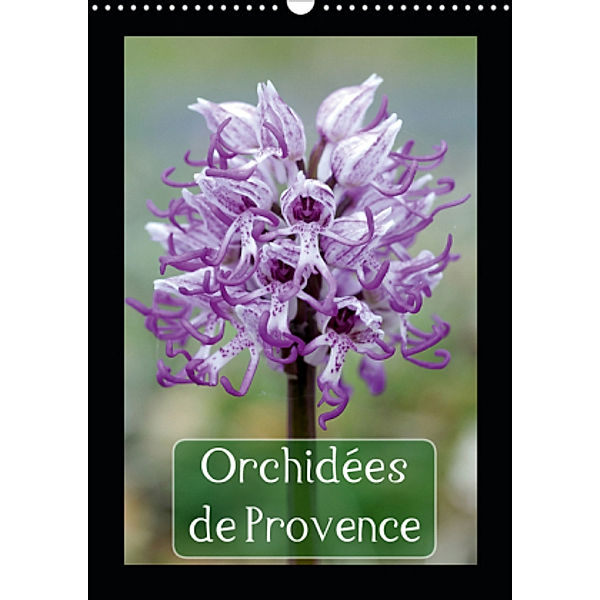 Orchidées de Provence (Calendrier mural 2021 DIN A3 vertical), Jean François LEPAGE©