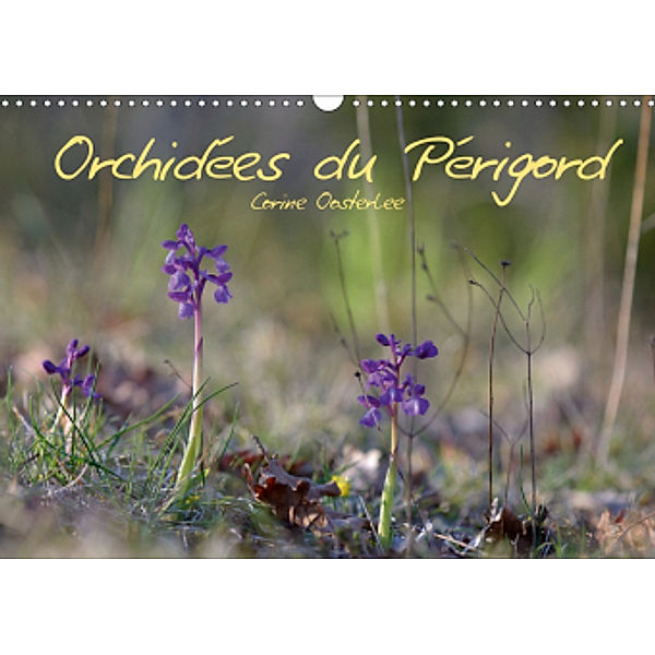 Orchidées du Périgord (Calendrier mural 2021 DIN A3 horizontal), Corine Oosterlee