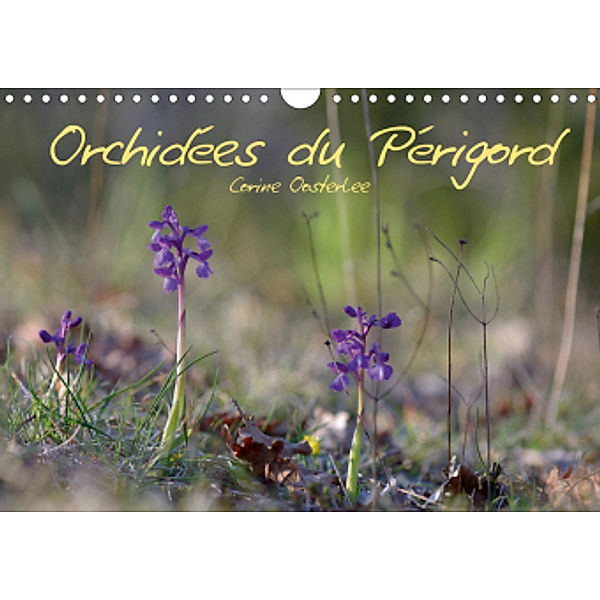 Orchidées du Périgord (Calendrier mural 2021 DIN A4 horizontal), Corine Oosterlee