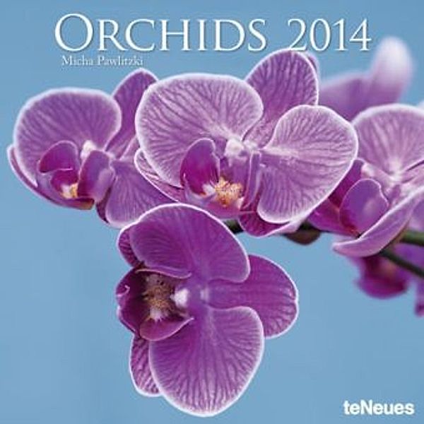 Orchids, Broschürenkalender 2011