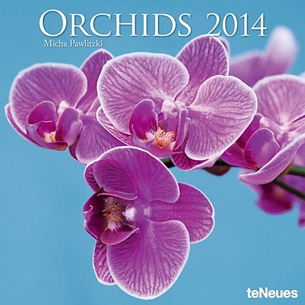 Orchids, Broschürenkalender 2014