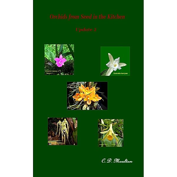 Orchids from Seed in the Kitchen Update 2, C. D. Moulton