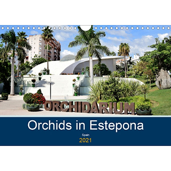 Orchids in Estepona Spain (Wall Calendar 2021 DIN A4 Landscape), Jon Grainge