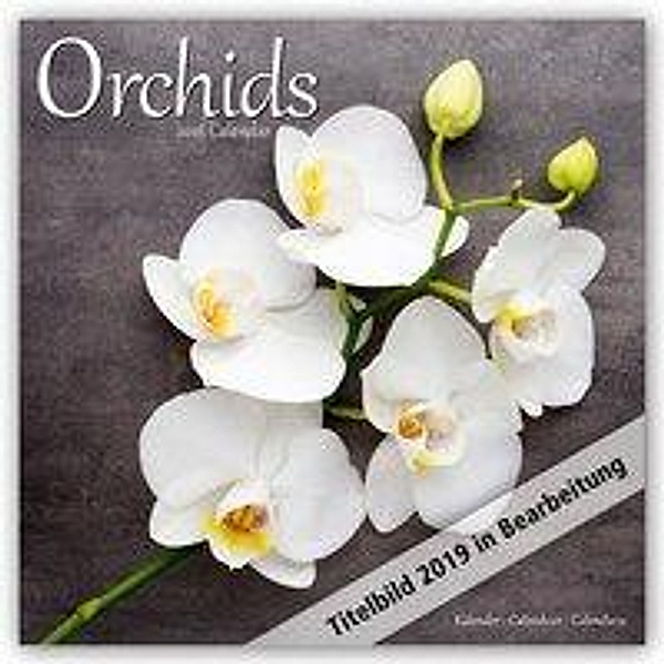Orchids - Orchideen 2019