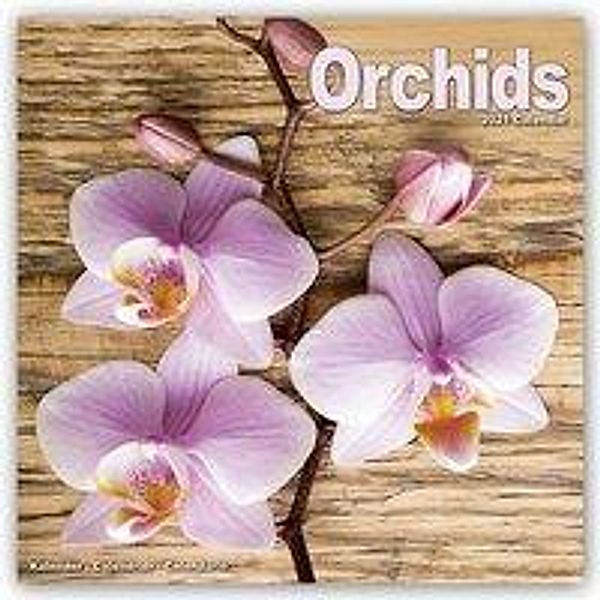 Orchids - Orchideen 2021, Avonside Publishing