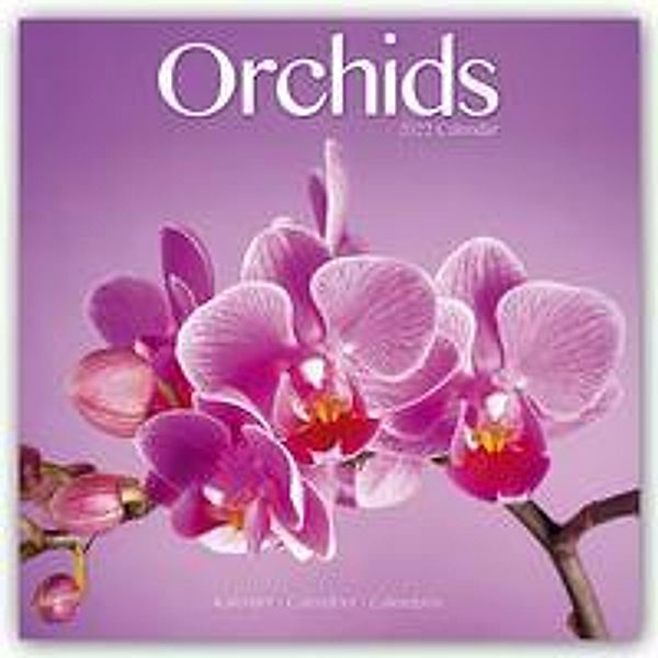 Orchids - Orchideen 2022, Avonside Publishing Ltd