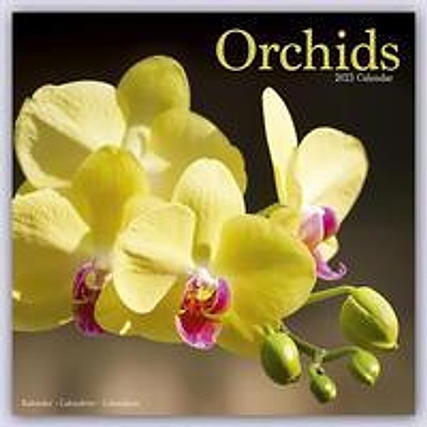 Orchids - Orchideen 2023 - 16-Monatskalender, Avonside Publishing Ltd