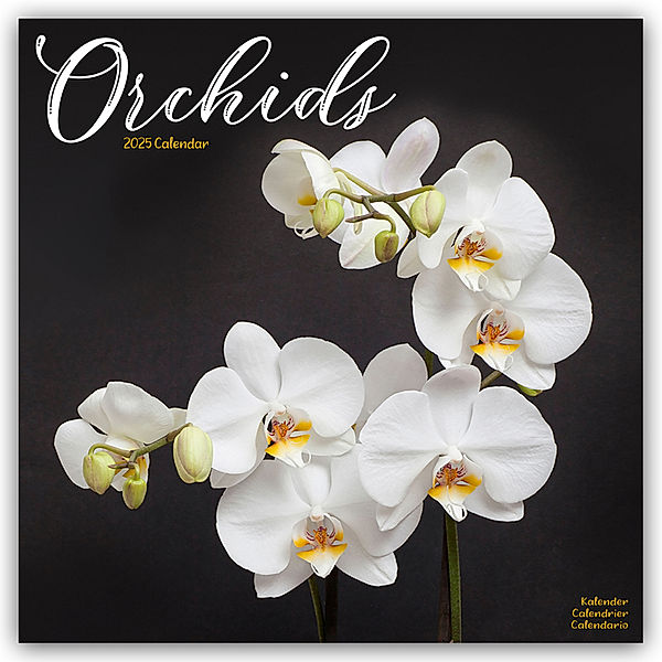 Orchids - Orchideen 2025 - 16-Monatskalender, Avonside Publishing Ltd