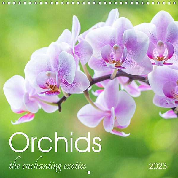 Orchids the enchanting exotics (Wall Calendar 2023 300 × 300 mm Square), Kerstin Waurick