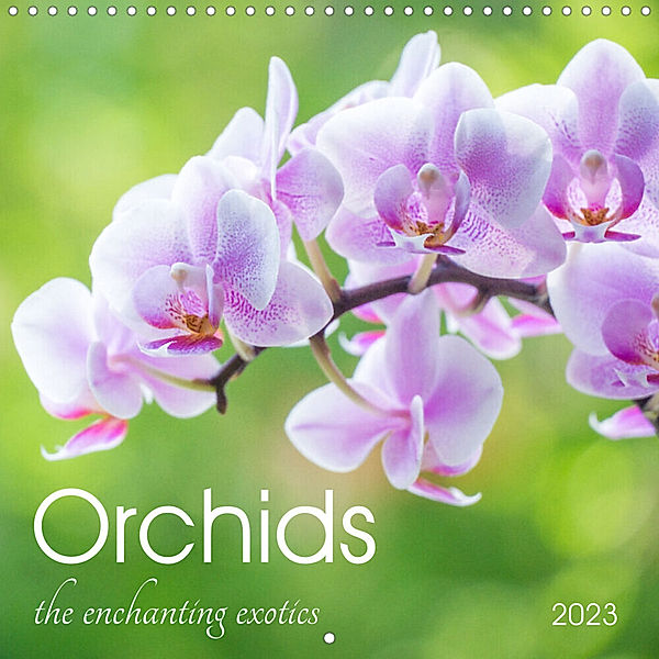 Orchids the enchanting exotics (Wall Calendar 2023 300 × 300 mm Square), Kerstin Waurick
