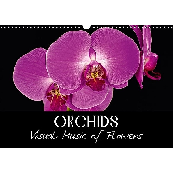 Orchids (Wall Calendar 2017 DIN A3 Landscape), Vronja Photon