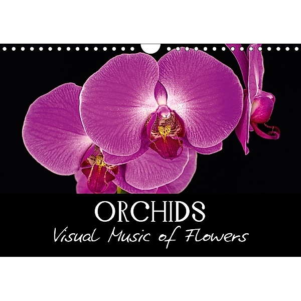 Orchids (Wall Calendar 2018 DIN A4 Landscape), Veronika Verenin