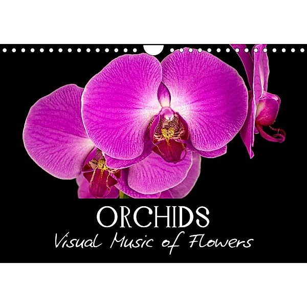 Orchids (Wall Calendar 2023 DIN A4 Landscape), Veronika Verenin (Vronja Photon)