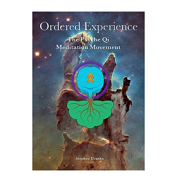 Ordered Experience: The Psyche Qi Meditation Movement., Stephen Ebanks