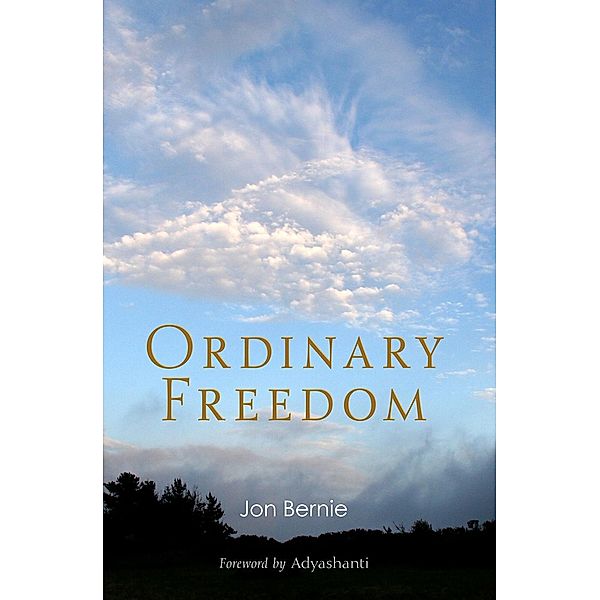 Ordinary Freedom, Jon Bernie