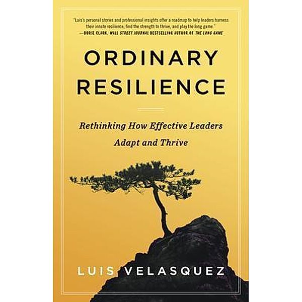 Ordinary Resilience, Luis Velasquez