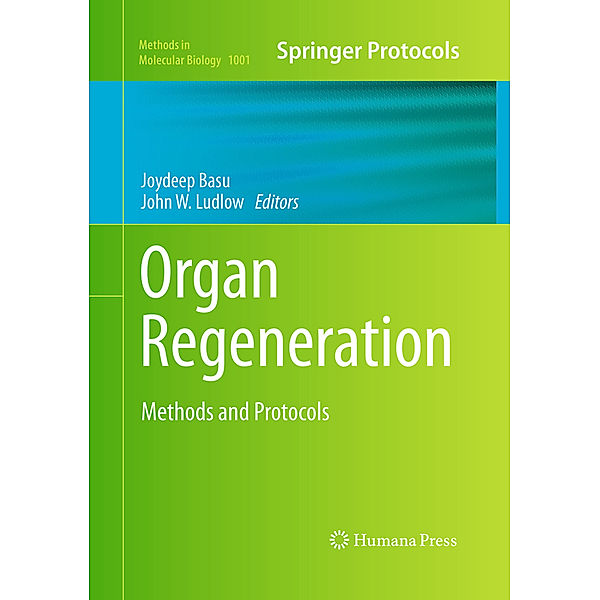 Organ Regeneration