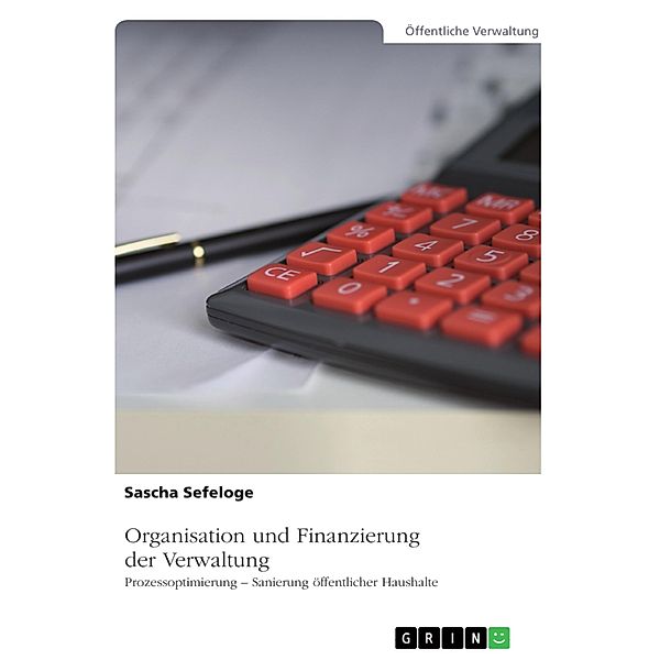 Organisation und Finanzierung der Verwaltung, Sascha Sefeloge