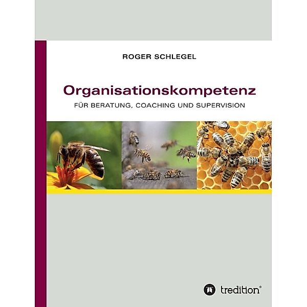 Organisationskompetenz, Roger Schlegel