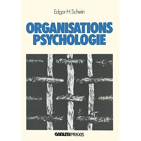 Organisationspsychologie, Edgar H. Schein