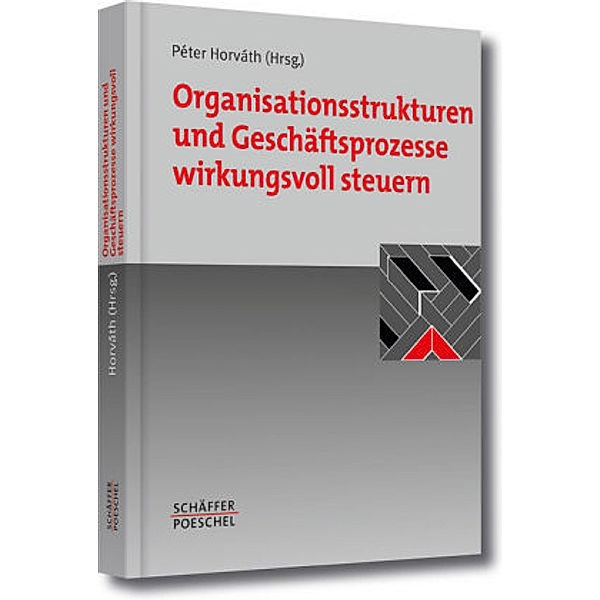 Organisationsstrukturen und Geschäftsprozesse wirkungsvoll steuern