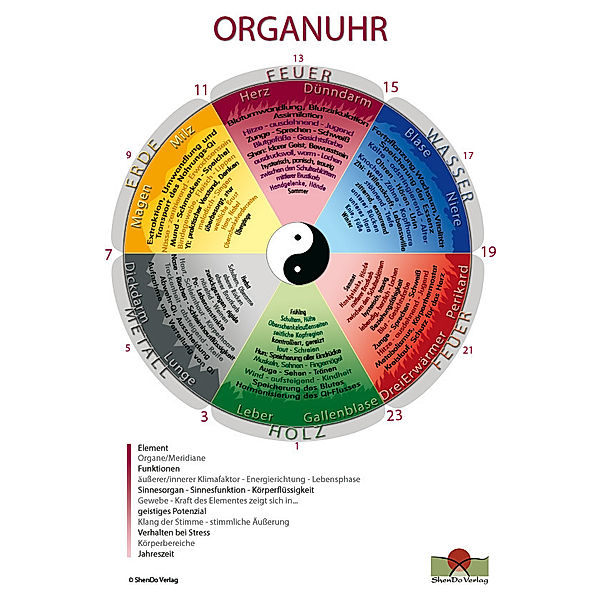 Organuhr Schaubild DIN A2, Nirgun W. Loh, Sakina K. Sievers