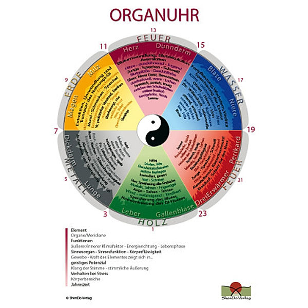 Organuhr Schaubild DIN A3, Sakina K. Sievers, Nirgun W. Loh