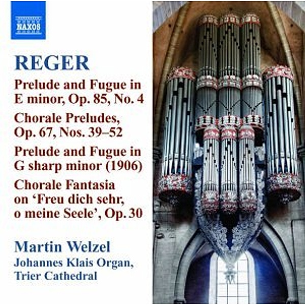 Orgelwerke Vol.10, Martin Welzel