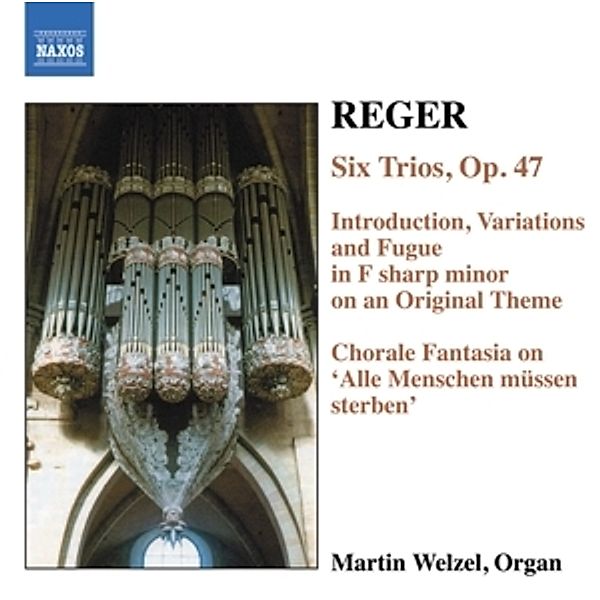 Orgelwerke Vol.6, Martin Welzel