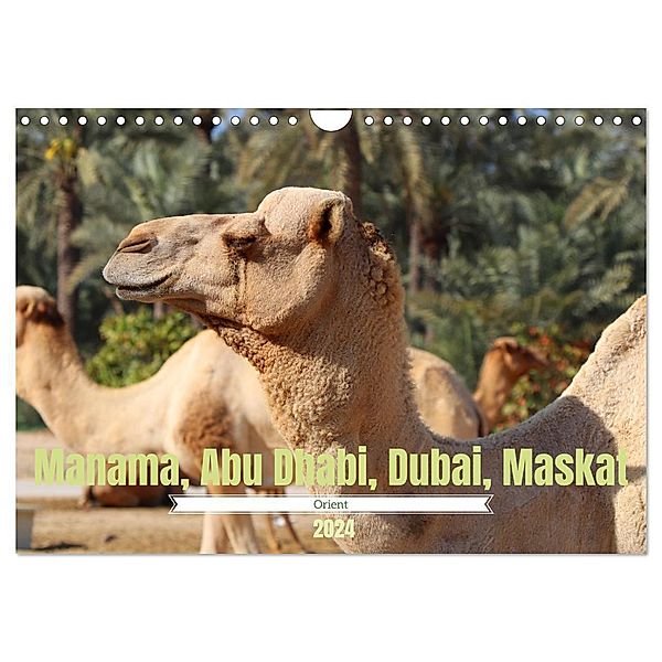 Orient - Manama, Abu Dhabi, Dubai, Maskat (Wandkalender 2024 DIN A4 quer), CALVENDO Monatskalender, Denise Graupner