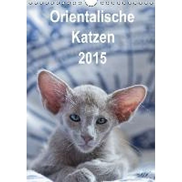 Orientalische Katzen 2015 (Wandkalender 2015 DIN A4 hoch), Heidi Bollich