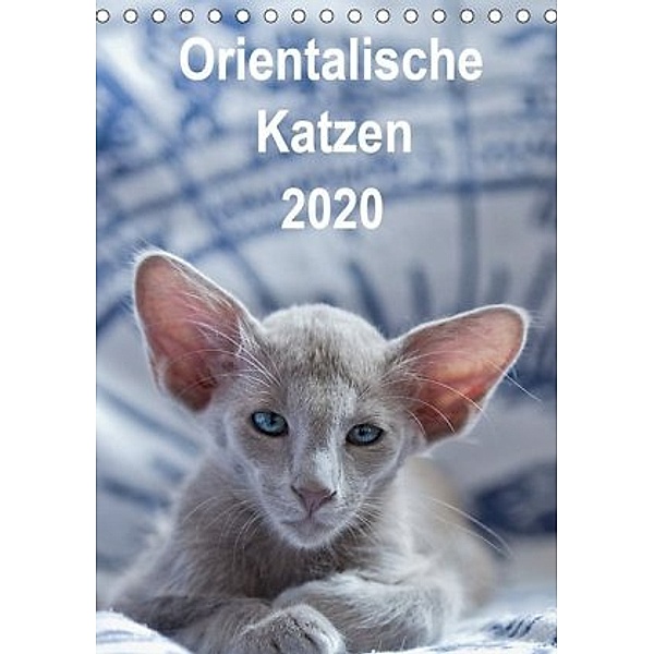 Orientalische Katzen 2020 (Tischkalender 2020 DIN A5 hoch), Heidi Bollich