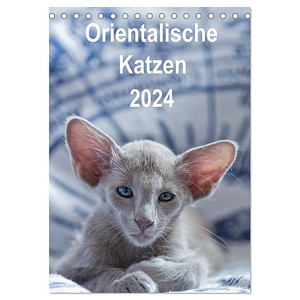 Orientalische Katzen 2024 (Tischkalender 2024 DIN A5 hoch), CALVENDO Monatskalender, Heidi Bollich