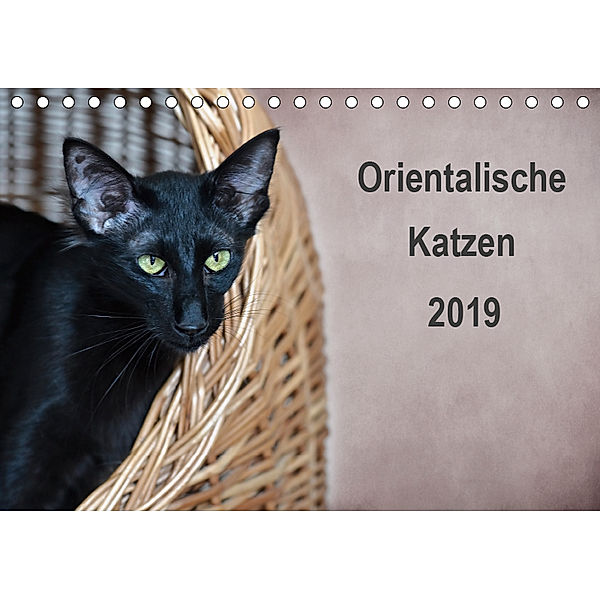 Orientalische Katzen (Tischkalender 2019 DIN A5 quer), Heidi Bollich