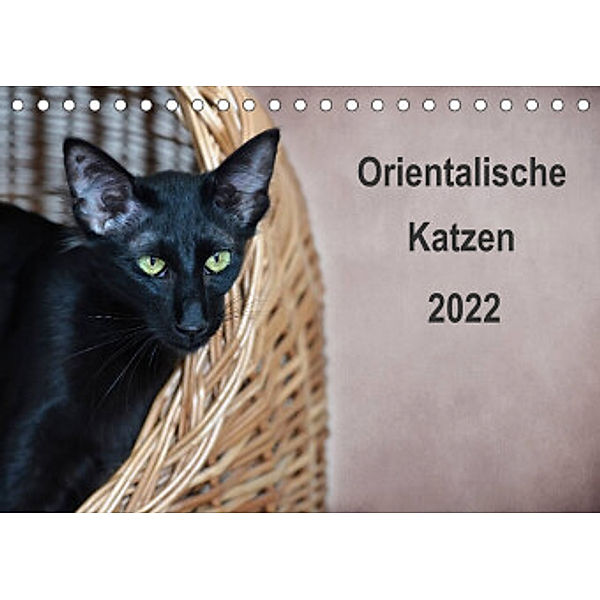 Orientalische Katzen (Tischkalender 2022 DIN A5 quer), Heidi Bollich