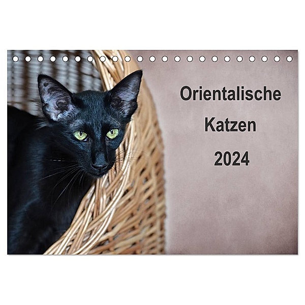Orientalische Katzen (Tischkalender 2024 DIN A5 quer), CALVENDO Monatskalender, Heidi Bollich
