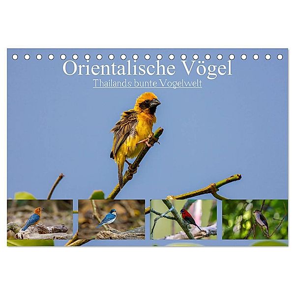 Orientalische Vögel - Thailands bunte Vogelwelt (Tischkalender 2024 DIN A5 quer), CALVENDO Monatskalender, Arne Wünsche