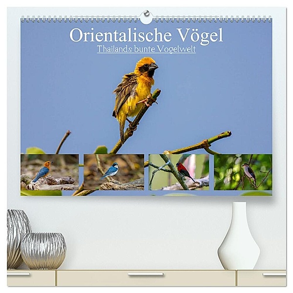 Orientalische Vögel - Thailands bunte Vogelwelt (hochwertiger Premium Wandkalender 2025 DIN A2 quer), Kunstdruck in Hochglanz, Calvendo, Arne Wünsche