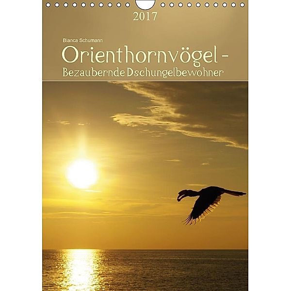Orienthornvögel - Bezaubernde DschungelbewohnerCH-Version (Wandkalender 2017 DIN A4 hoch), Bianca Schumann