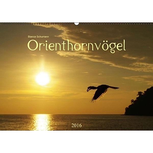 Orienthornvögel CH-Version (Wandkalender 2016 DIN A2 quer), Bianca Schumann