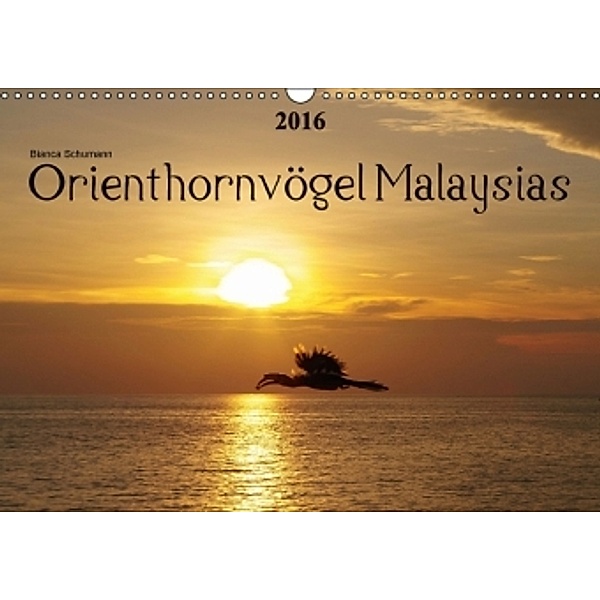 Orienthornvögel Malaysias AT-Version (Wandkalender 2016 DIN A3 quer), Bianca Schumann
