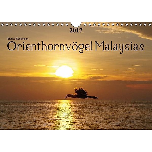 Orienthornvögel MalaysiasAT-Version (Wandkalender 2017 DIN A4 quer), Bianca Schumann