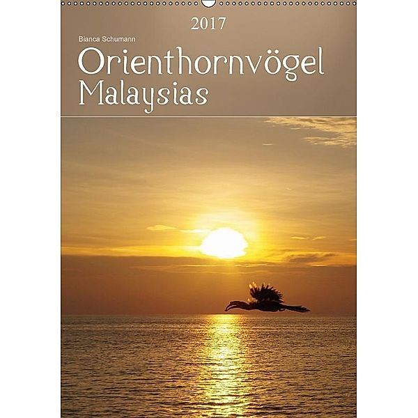 Orienthornvögel MalaysiasAT-Version (Wandkalender 2017 DIN A2 hoch), Bianca Schumann