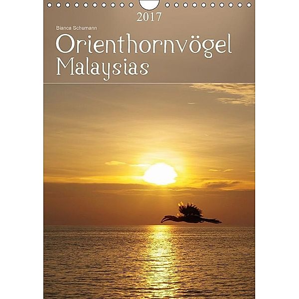 Orienthornvögel MalaysiasAT-Version (Wandkalender 2017 DIN A4 hoch), Bianca Schumann