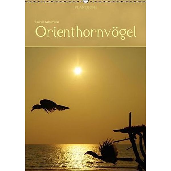 Orienthornvögel / Planer (Wandkalender 2016 DIN A2 hoch), Bianca Schumann