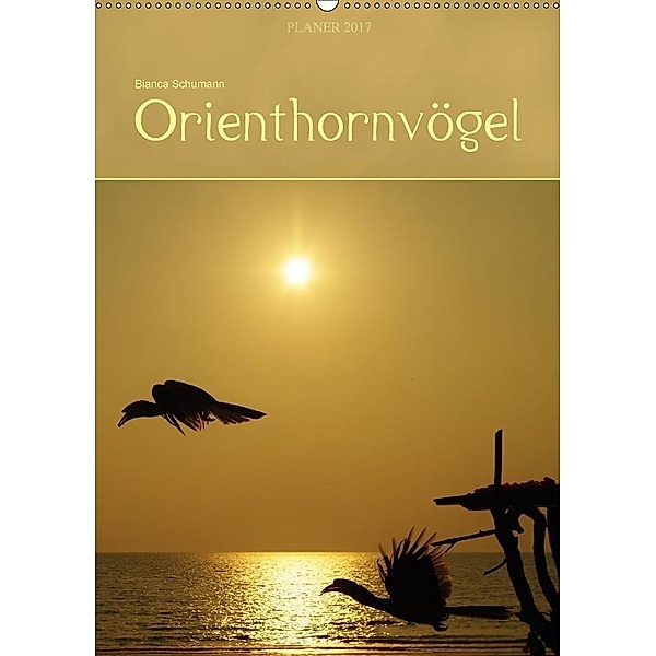 Orienthornvögel / Planer (Wandkalender 2017 DIN A2 hoch), Bianca Schumann