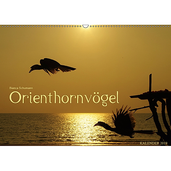 Orienthornvögel (Wandkalender 2019 DIN A2 quer), Bianca Schumann