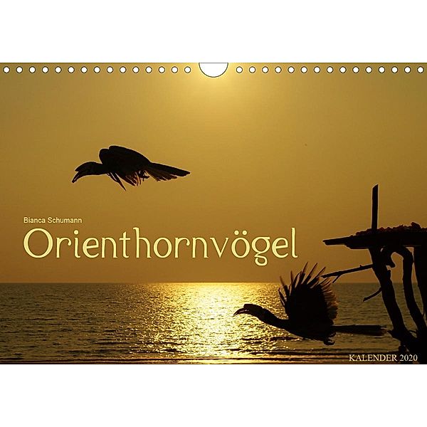 Orienthornvögel (Wandkalender 2020 DIN A4 quer), Bianca Schumann